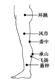 ʹİιƷ(2)_ͼ