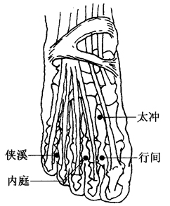 沿ɫߵĹƷ(2)_ͼ